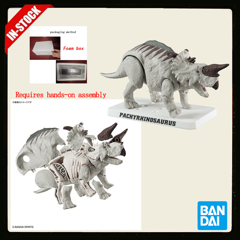Model Kit Dinosaur Bandai - Original Bandai Spirits Plannosaurus Pachyrhinosaurus Dinosaur