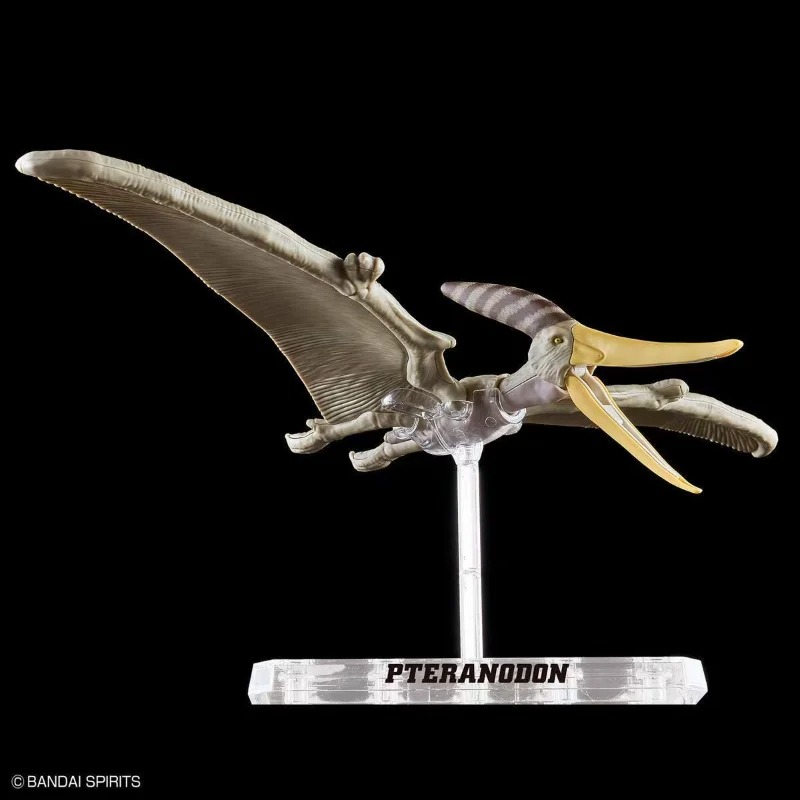 BANDAI PLANNOSAURUS Pteranodon - огляд і ціна Model Kit Dinosaur Bandai